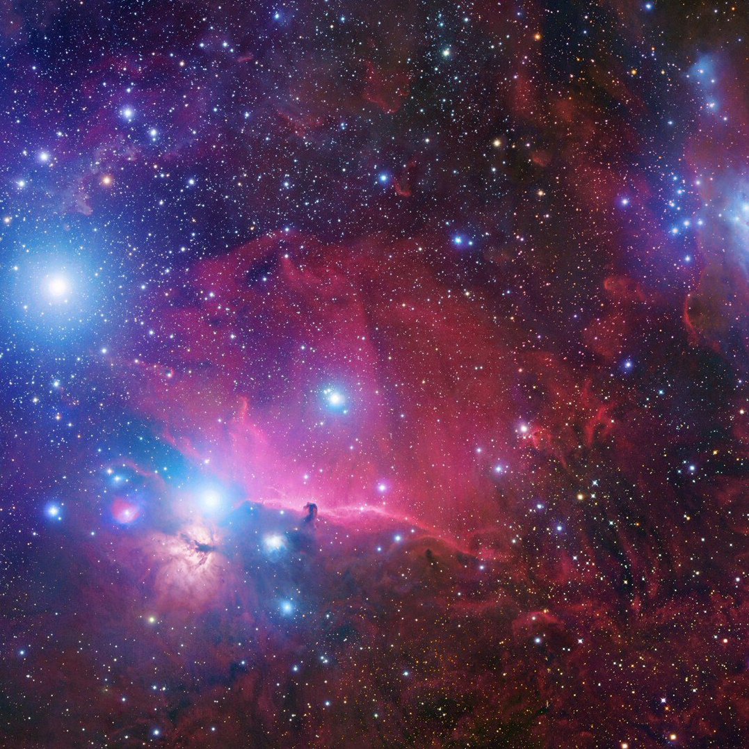 Стихи про Ларису