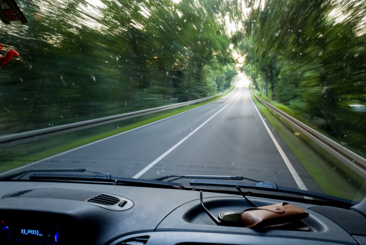 Вид из машины