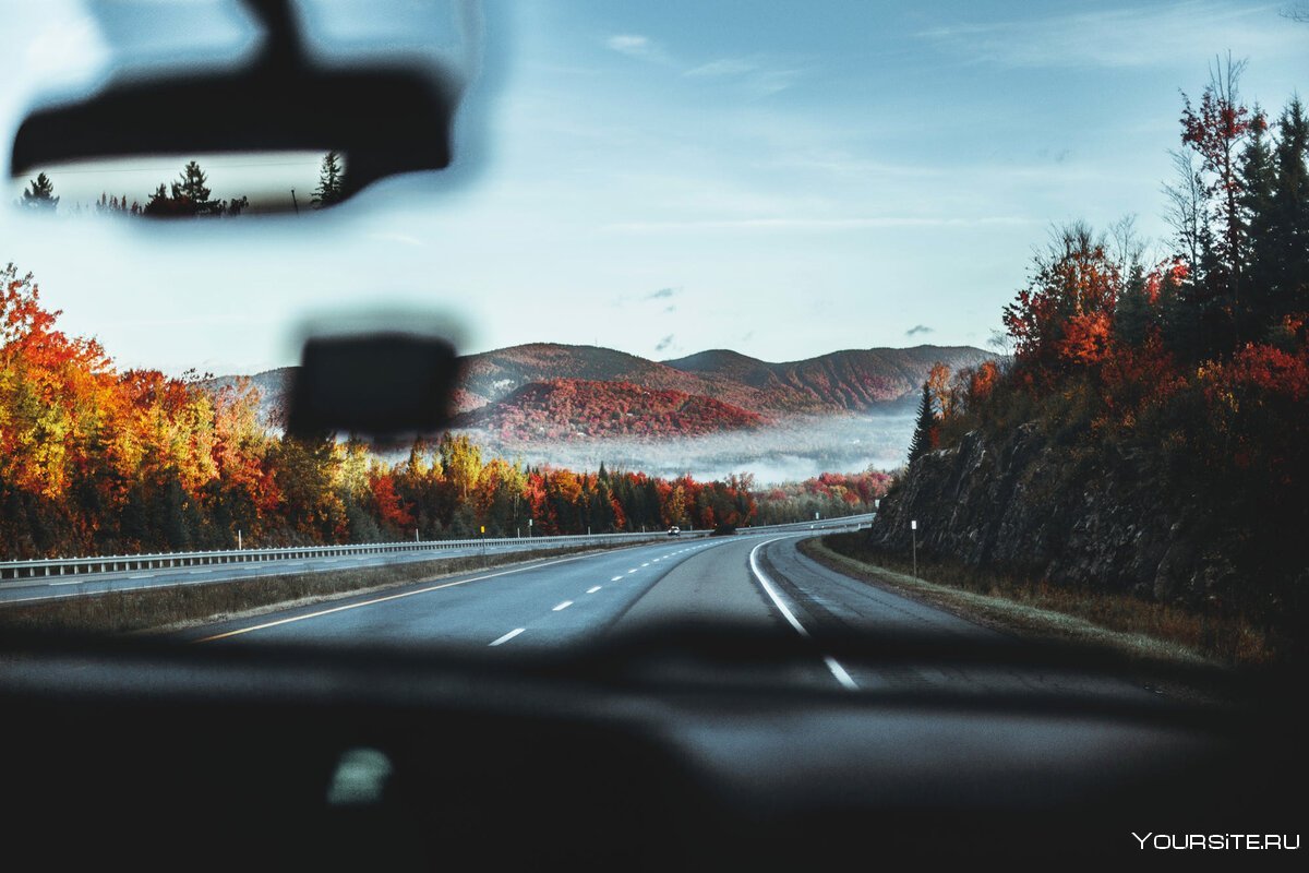 Вид из лобового стекла машины