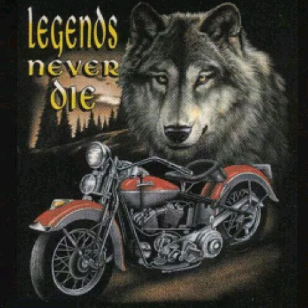 Фурри на мотоцикле