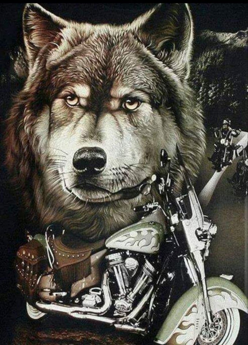 Оборотень байкер