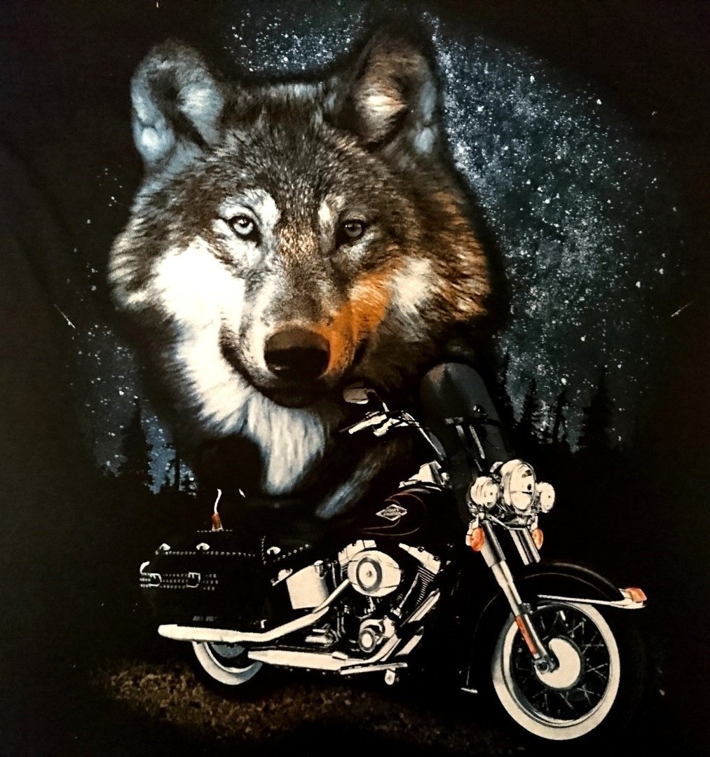 Волк на мотоцикле
