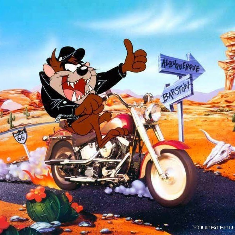 Кот на мотоцикле рисунок