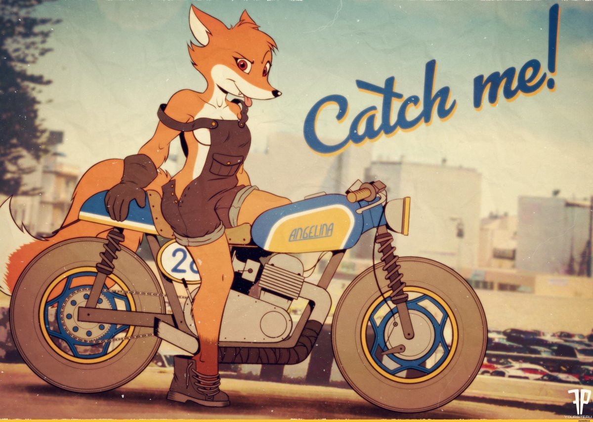 Харлей Дэвидсон волк