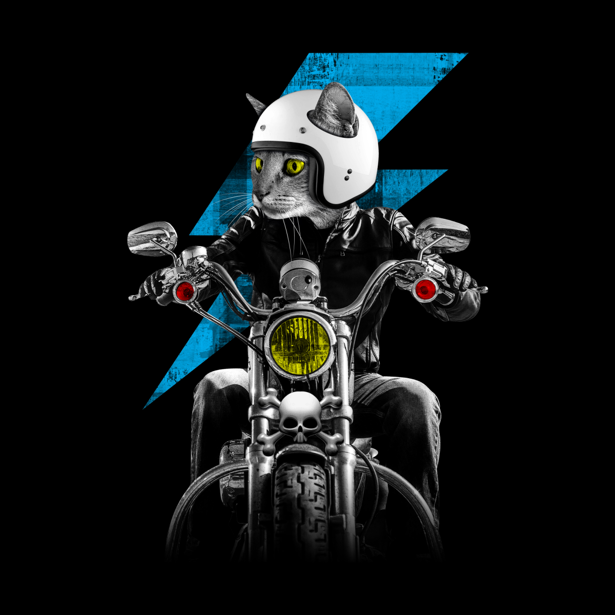 Фурри на мотоцикле