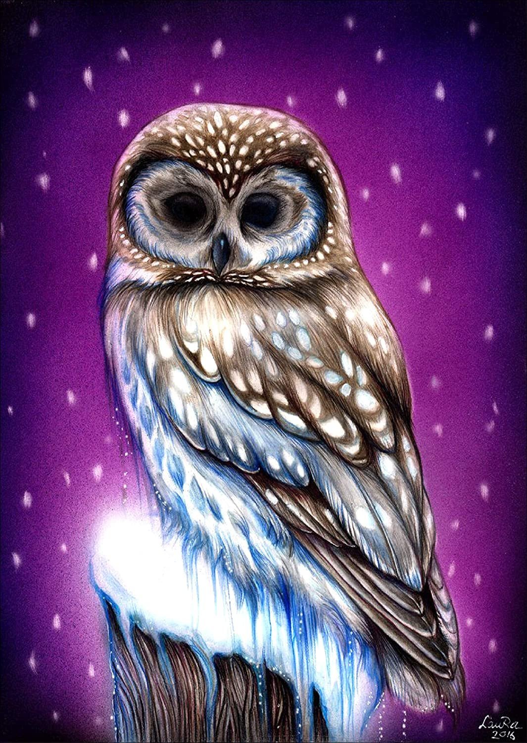 Сова рисунок