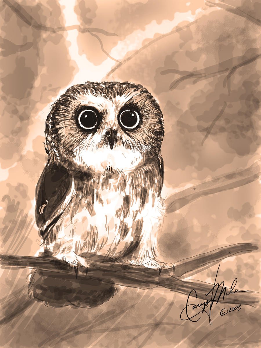 Сладков Сыч