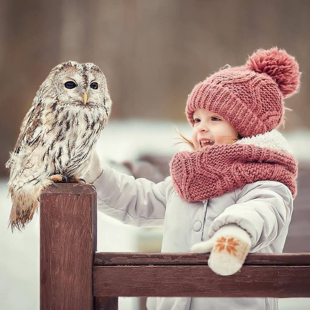 Сова с детками