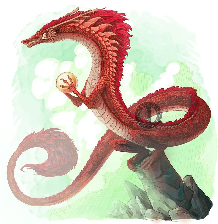 Китайский дракон
