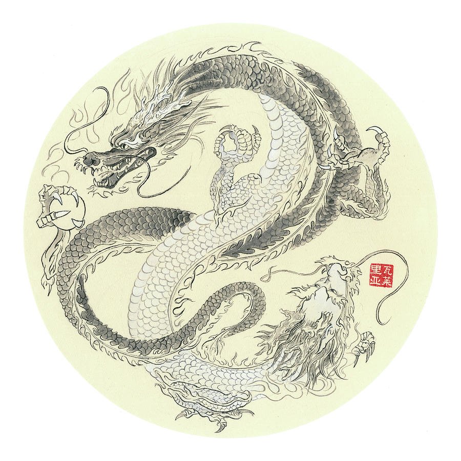 Анатомия драконов воды