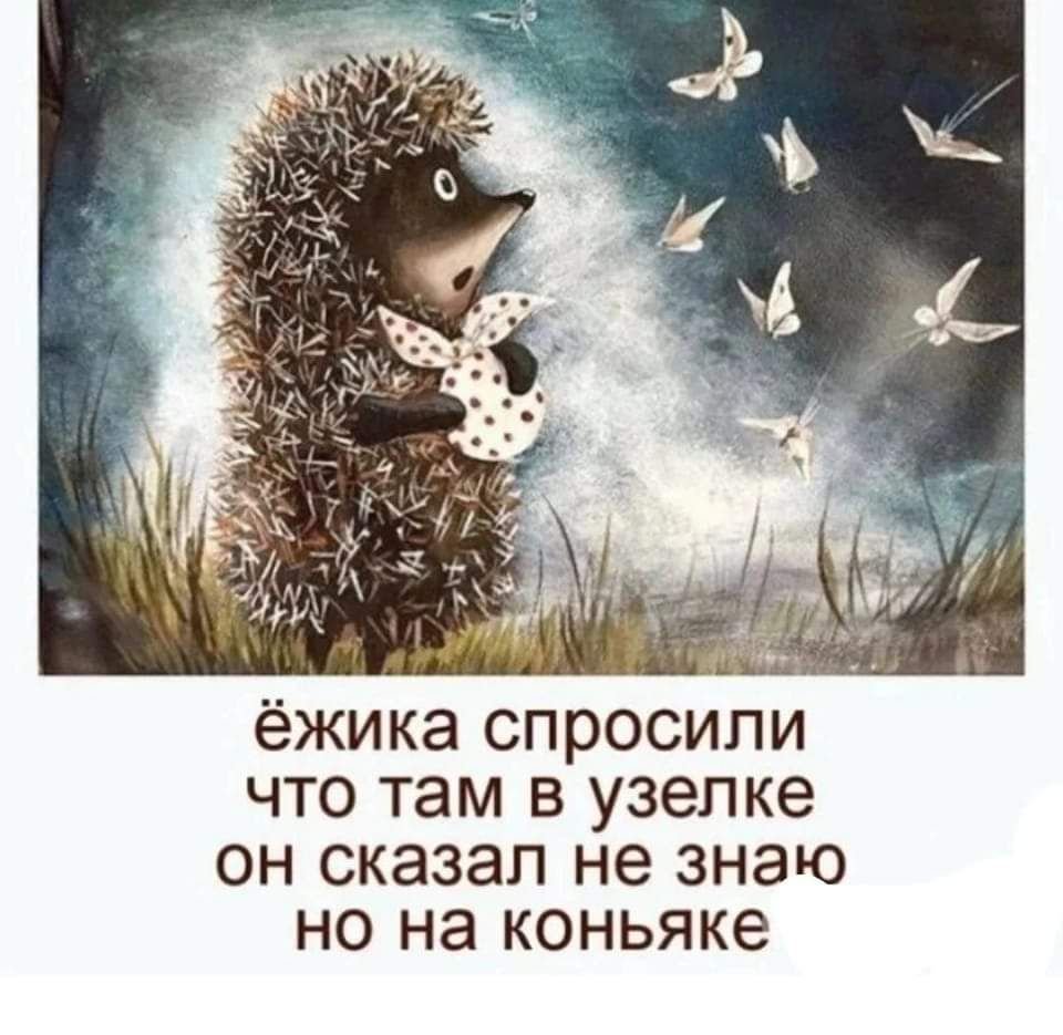 Ежик в тумане Сова