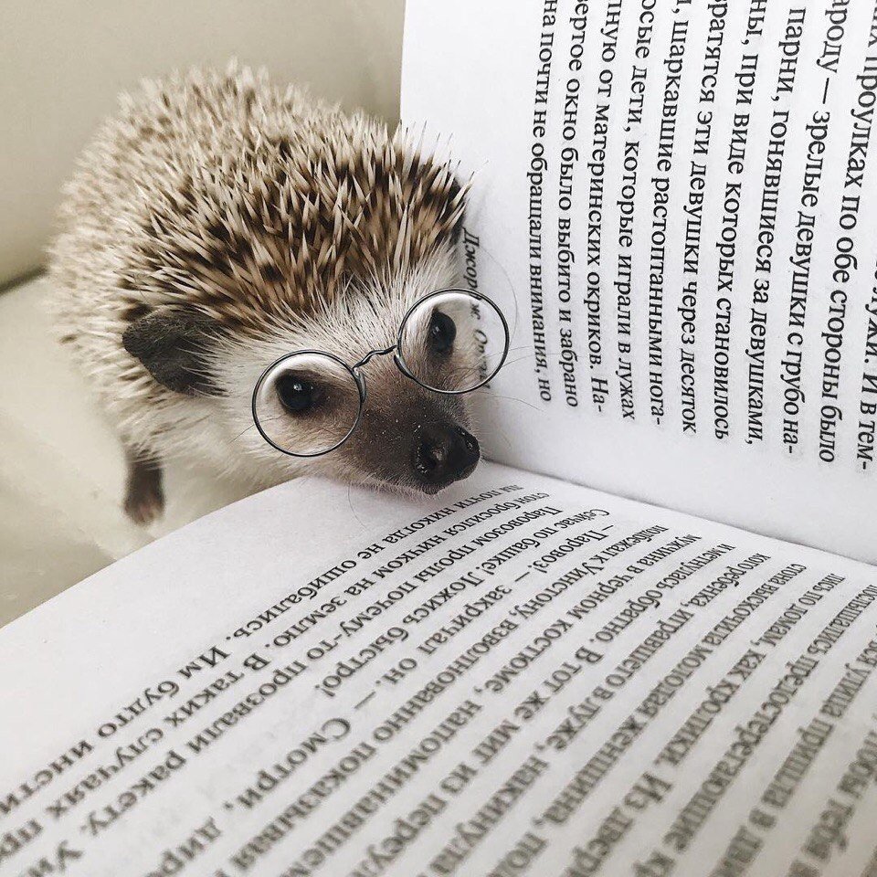 Завтра на работу прикольные