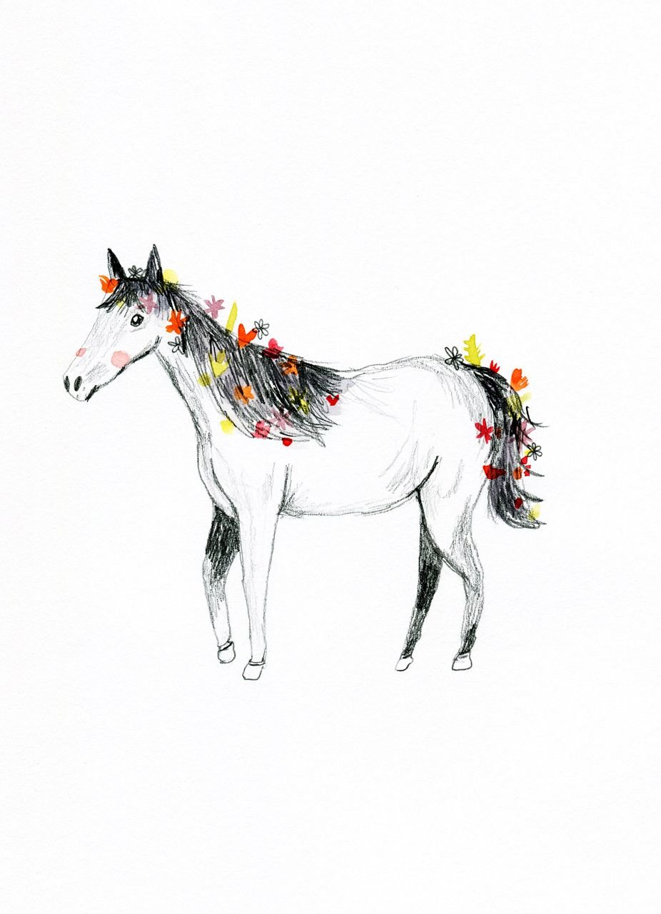 Слепая лошадь рисунок