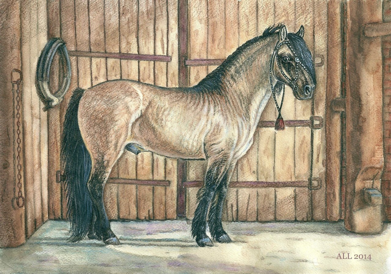 Конюшня рисунок. Лошадь в конюшне. Нарисовать конюшню. Лошадь в конюшне рисунок. Рисунок лошадь в конишне.
