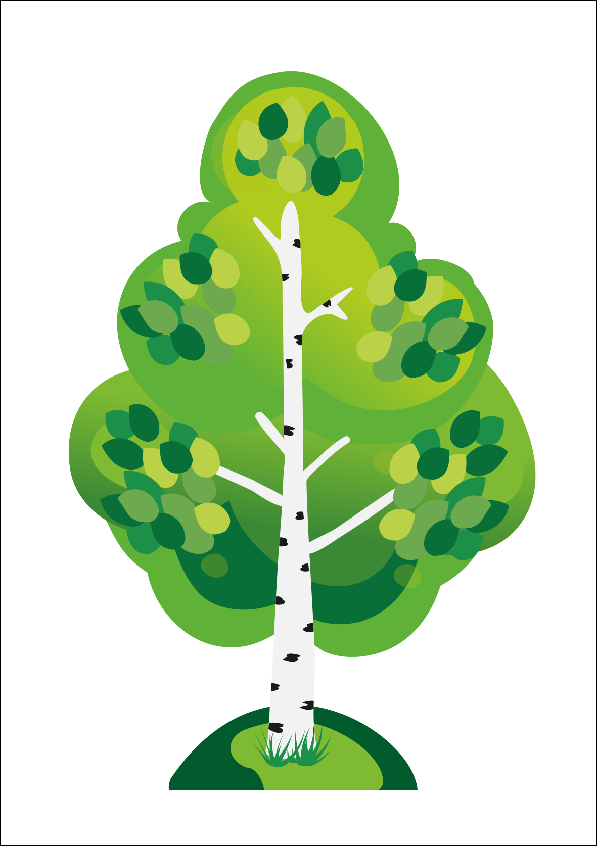 Береза декорация