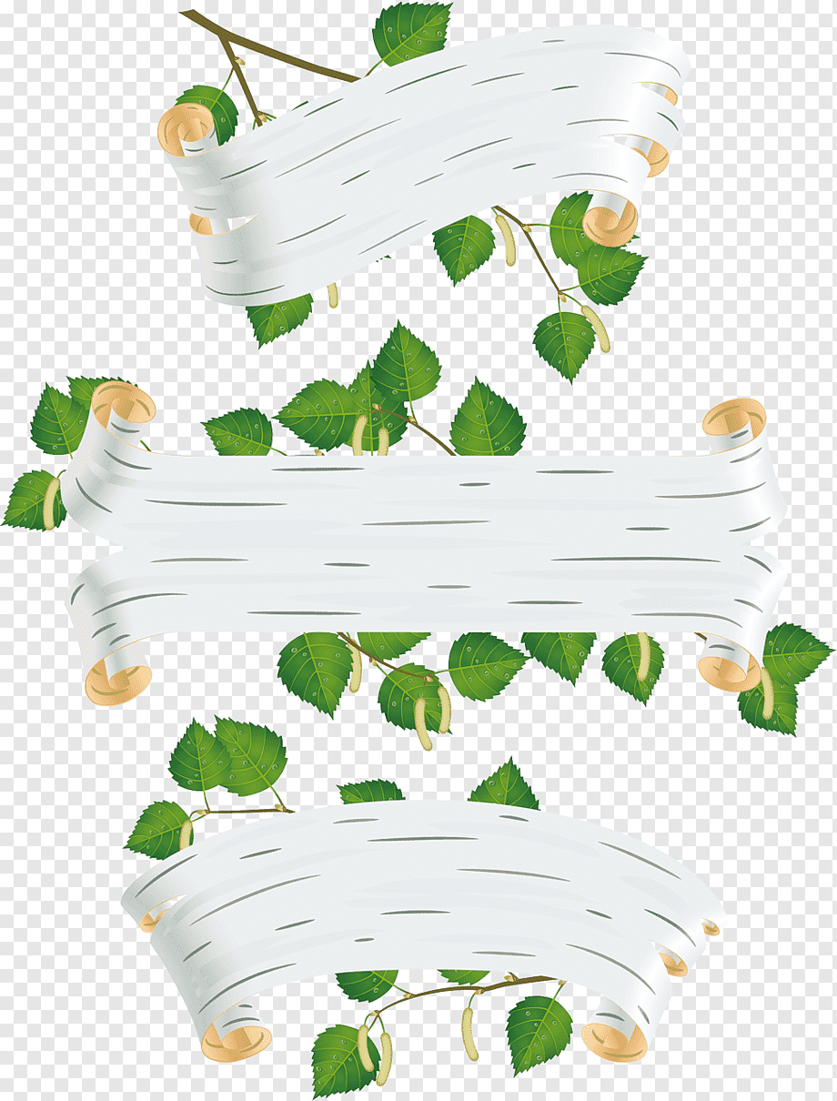 Березовая кора вектор