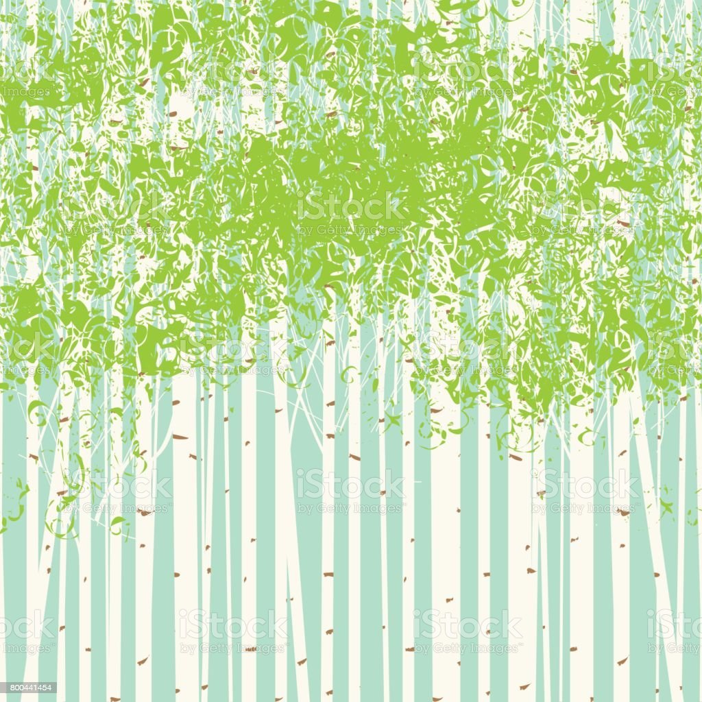 Березовая роща вектор