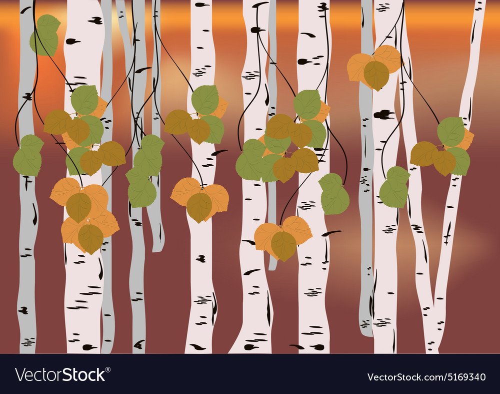 Стилизованные березы