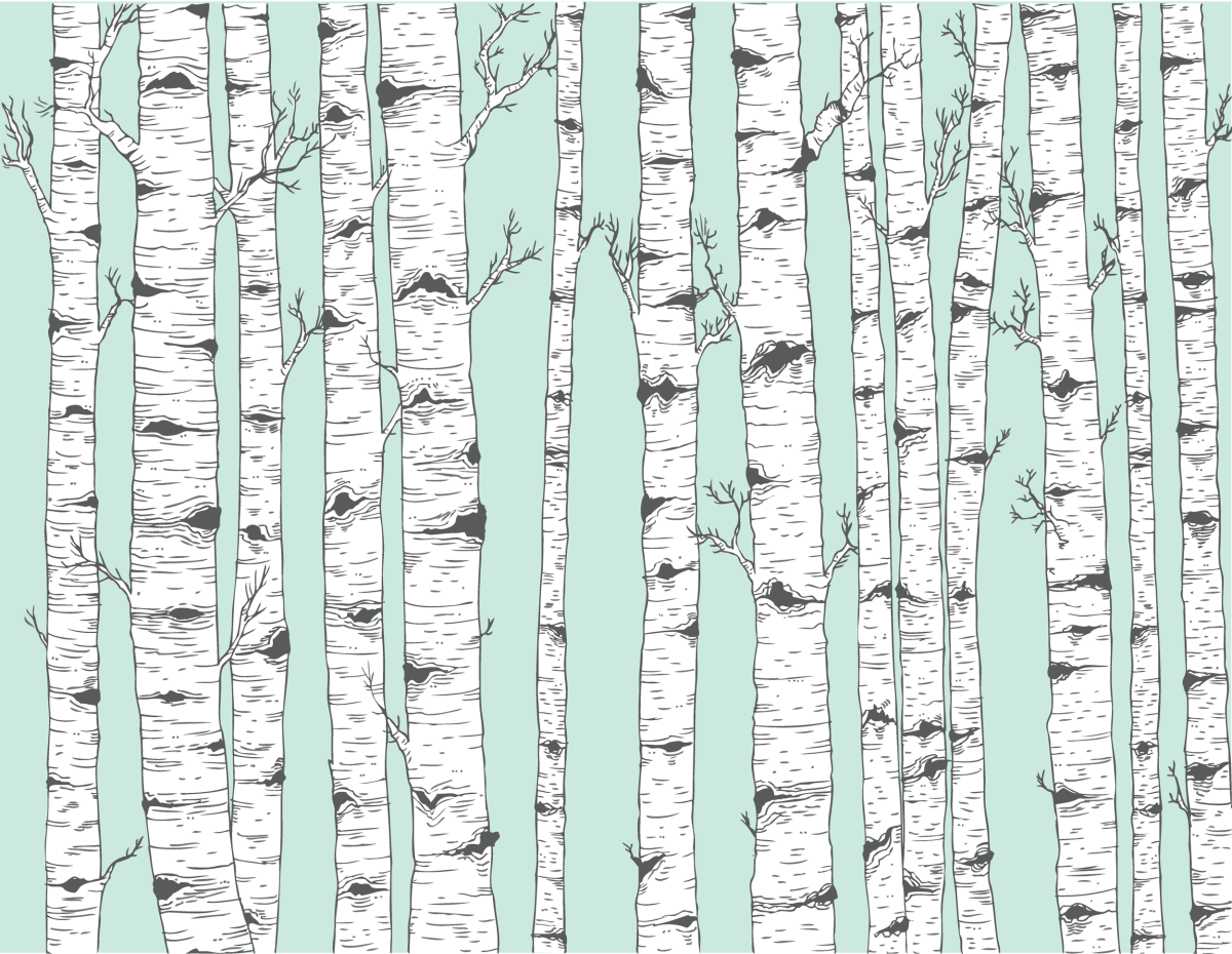 Ствол березы