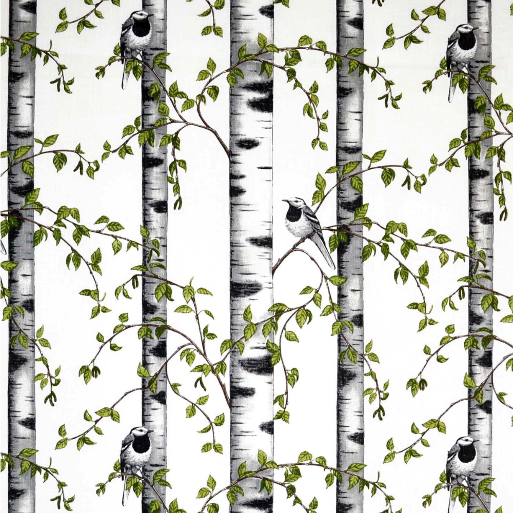 Береза узор