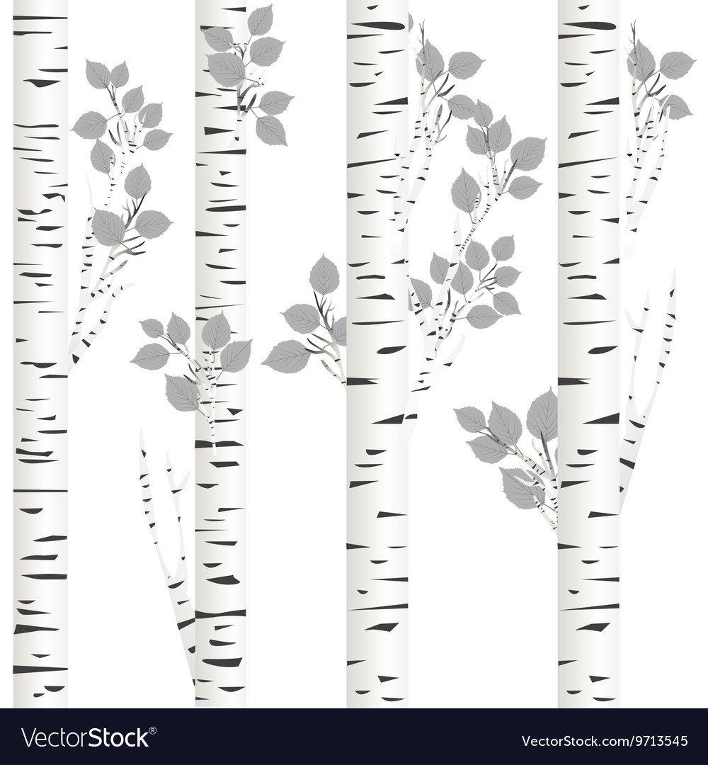 Ствол березы на окно