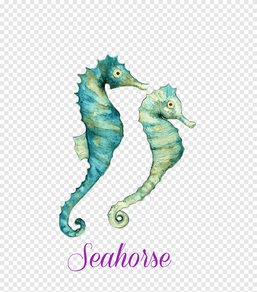 Акварельные иллюстрации морские коньки