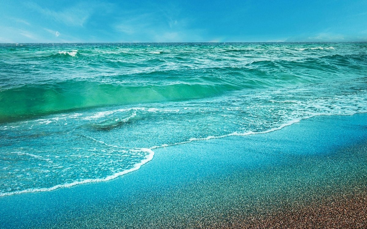 Синяя бабочка