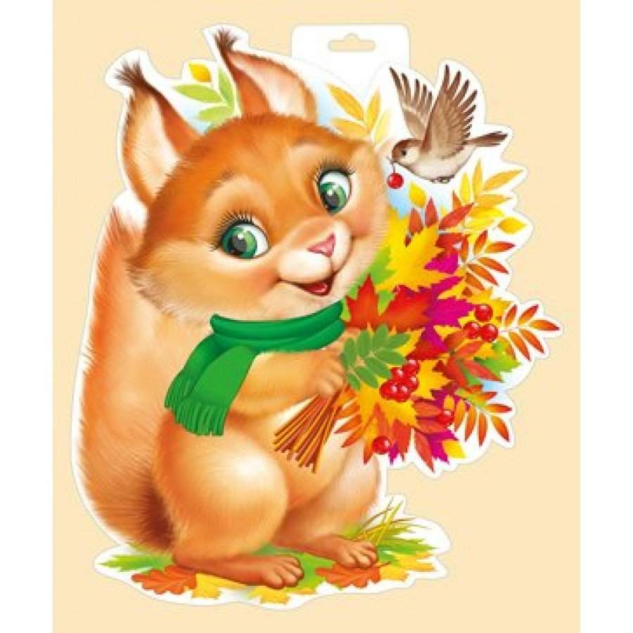 Белка картинка для детей