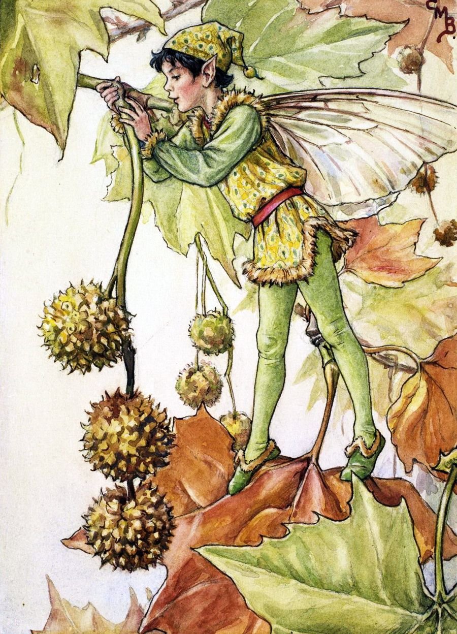 Эстетичные феи