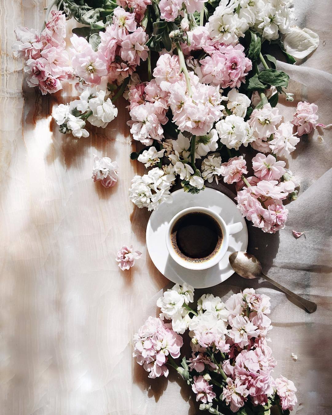 Завтрак с цветами