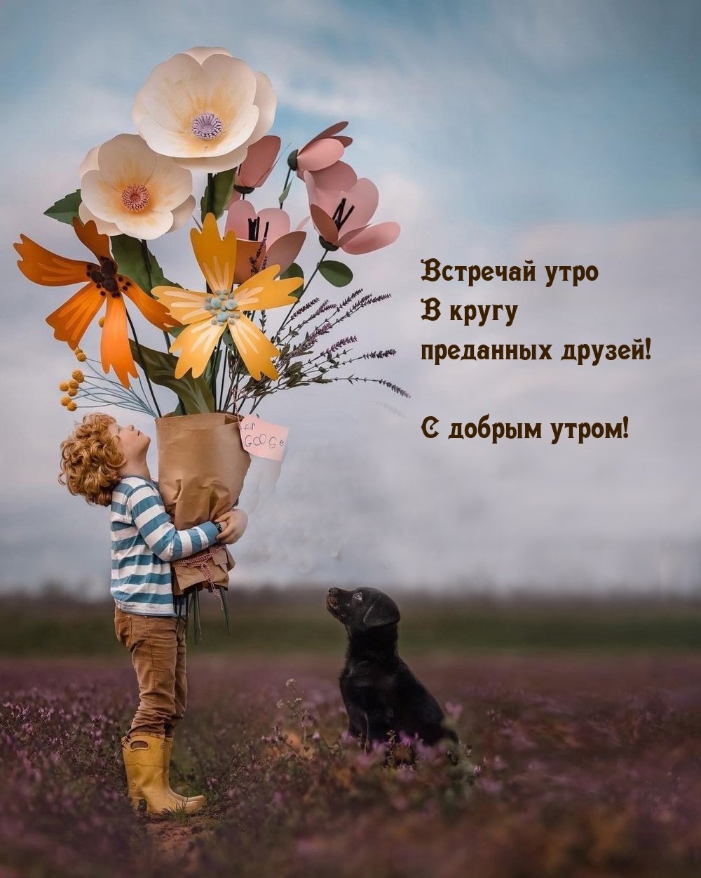 Необычные картинки с добрым