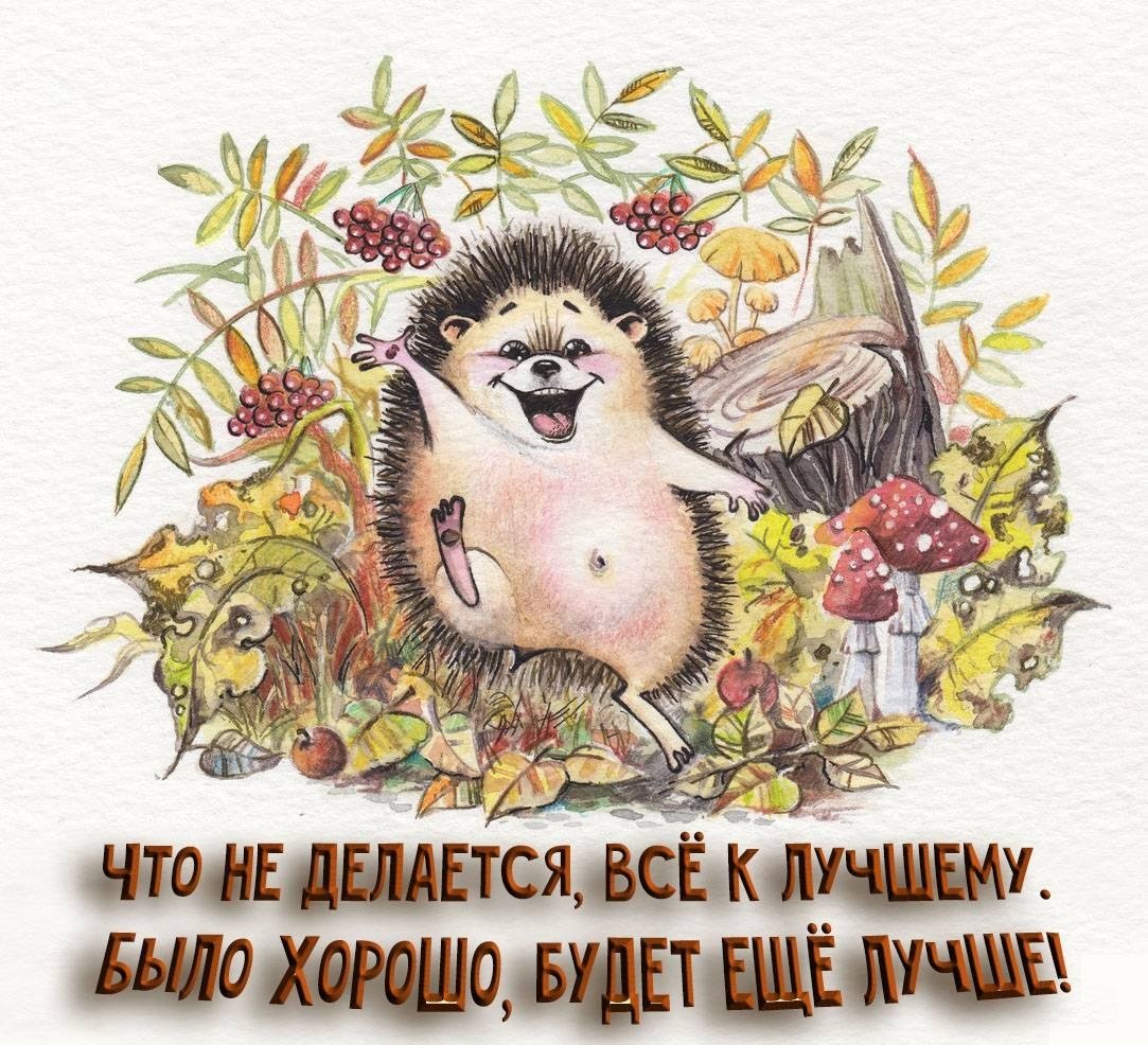 Международный день ежей