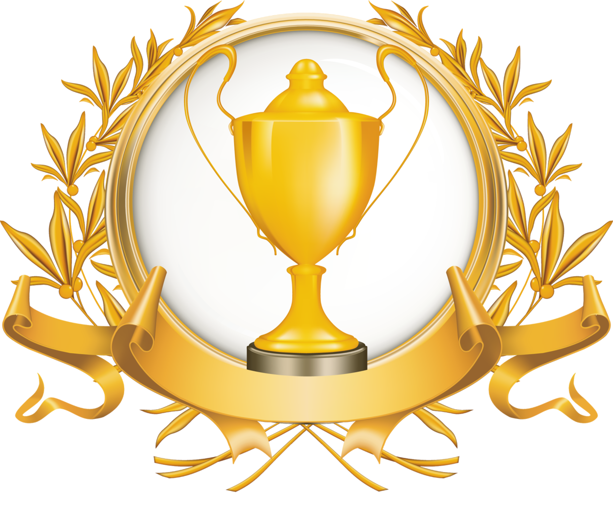 Достижения обучающихся