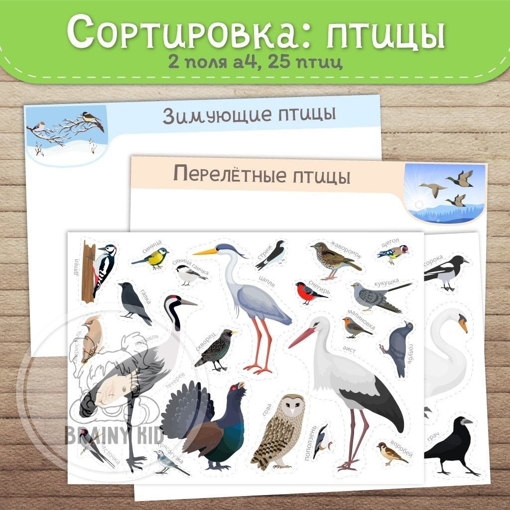 Перелетные птицы