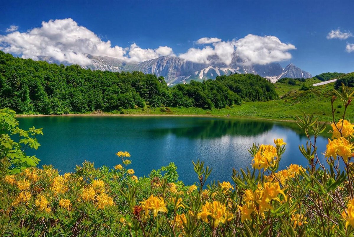 Ромашковая Поляна Абинский район