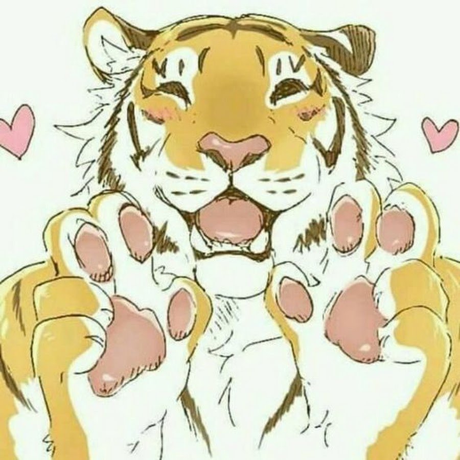 Рисунок тигра карандашом