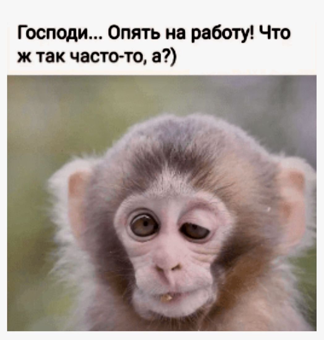 Опять работа