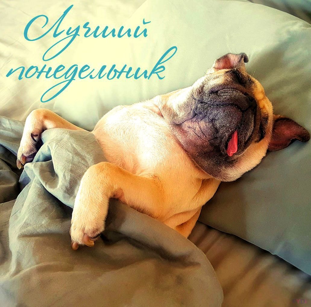 Понедельник выходной