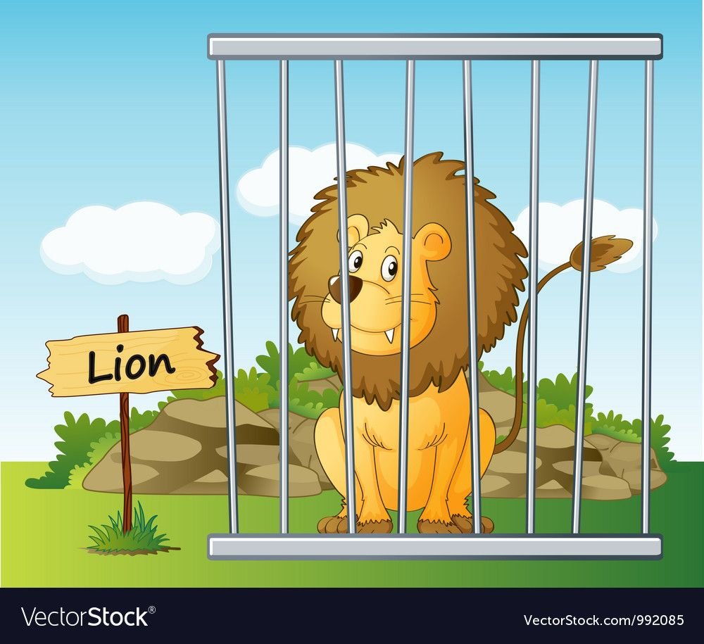 Лев в клетке в зоопарке