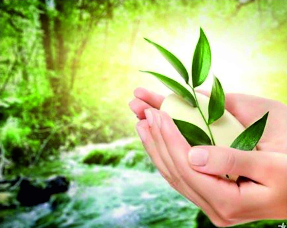 Забота о природе