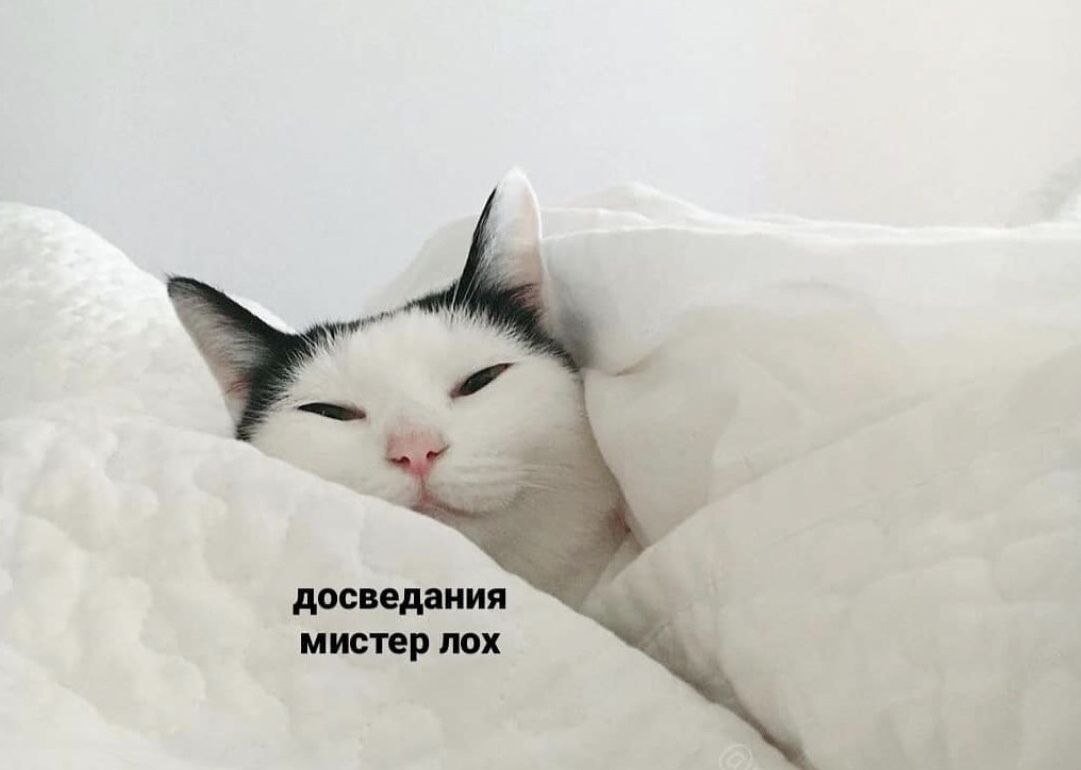 До свидания Мистер лох