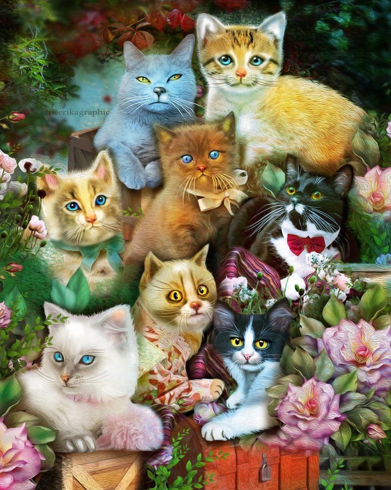 Много котиков