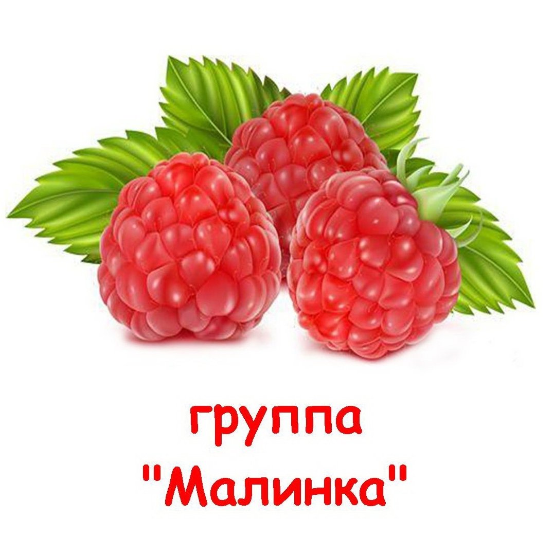 Группа Малинка