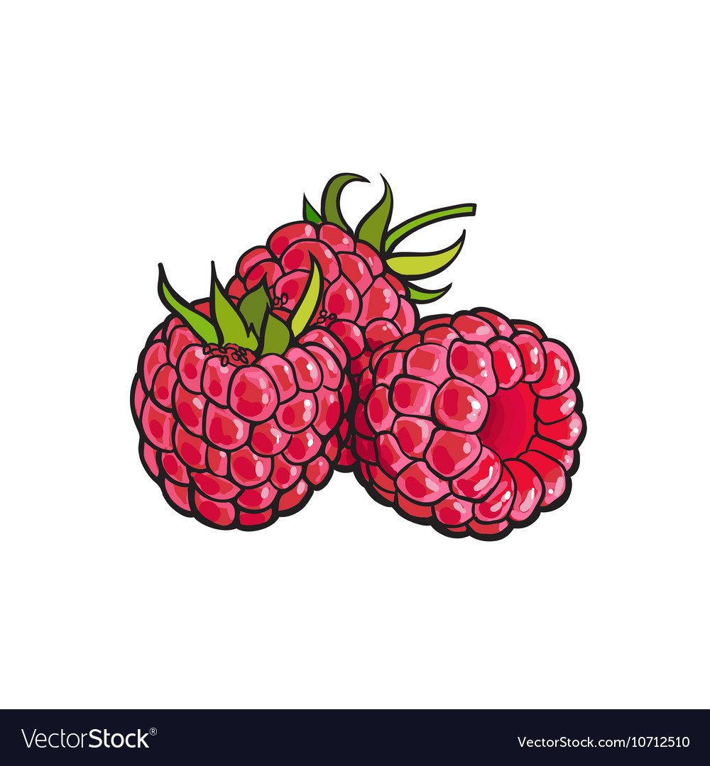 Рисунки по клеточкам малина