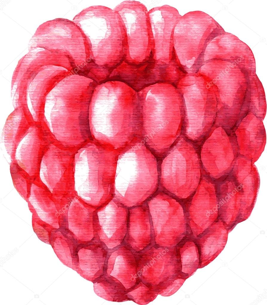 Лёгкие рисунки малины