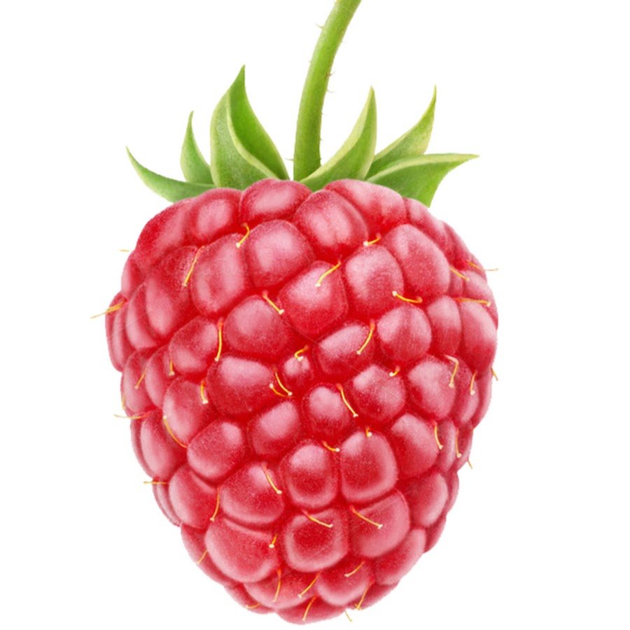 Плод малины