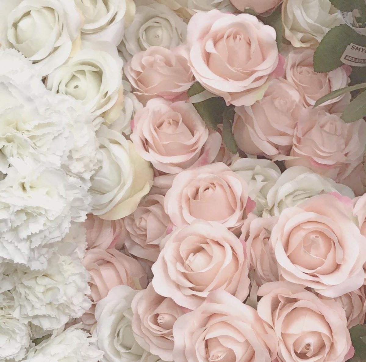 Розы пастельных тонов