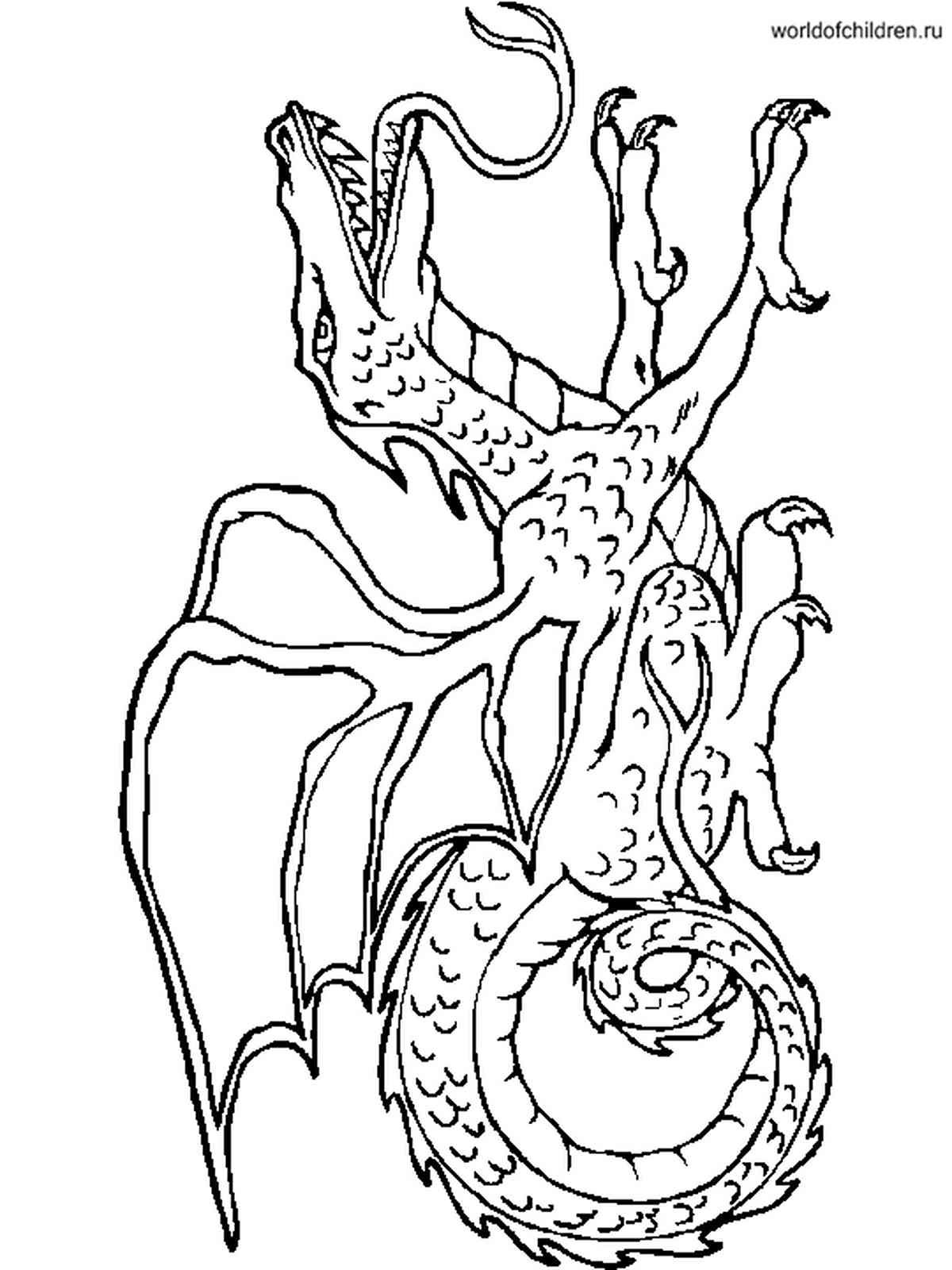 Хамелеон раскраска для детей