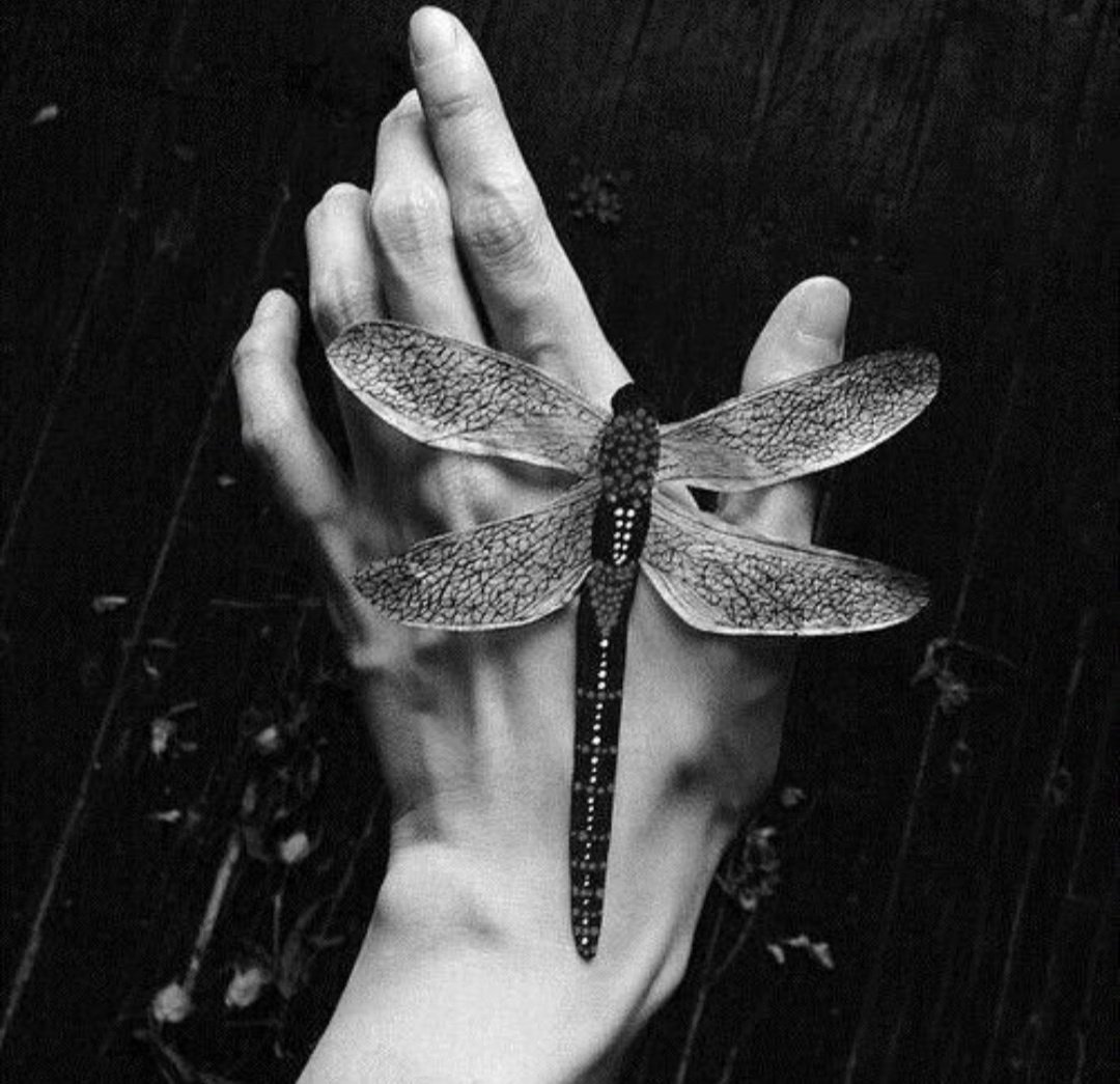 Девушка Стрекоза