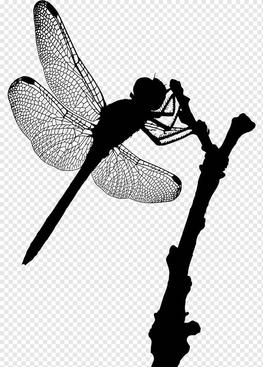 Силуэты бабочек стрекоз